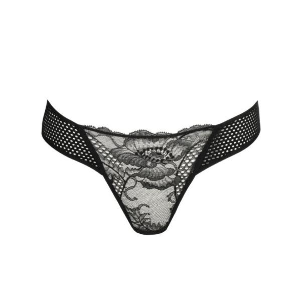 Sarda Lisa String