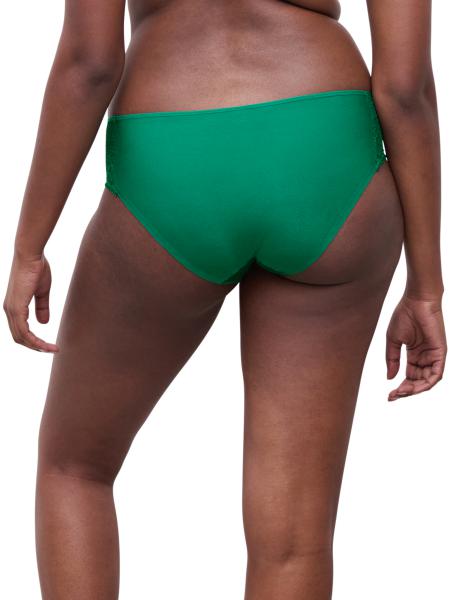 Chantelle Day to night Slip