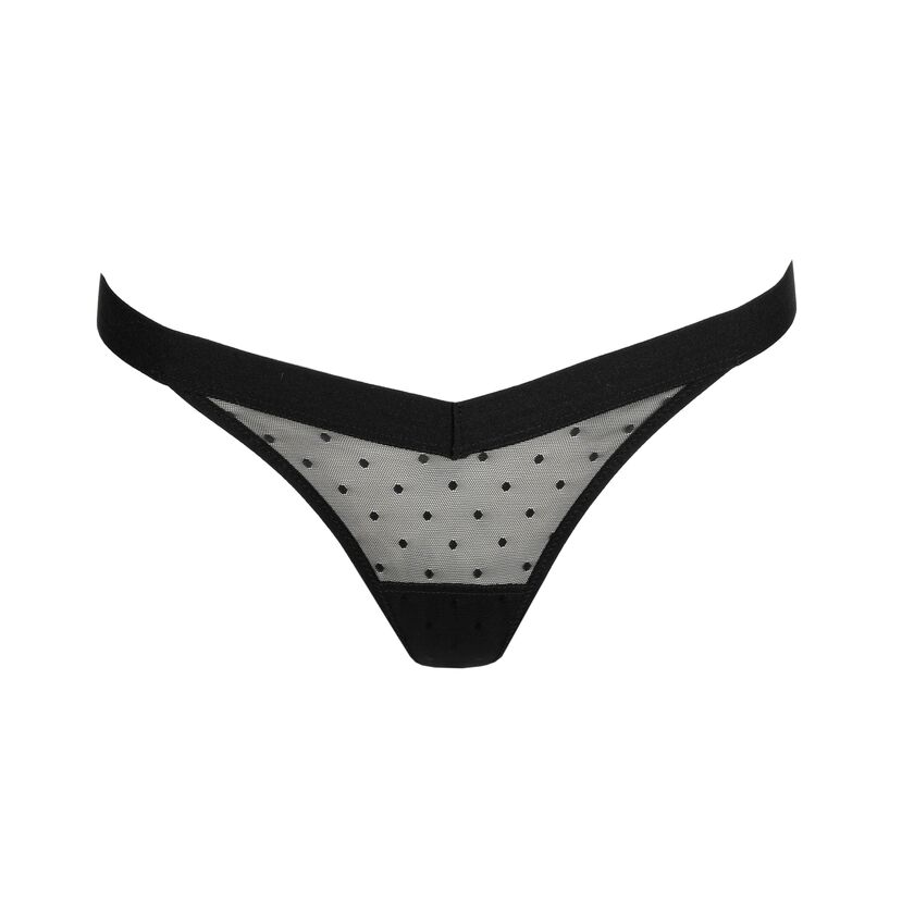 Sarda Rincon String