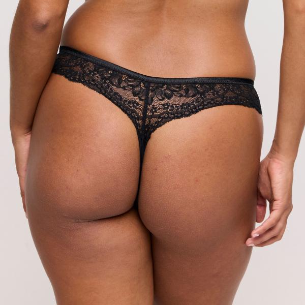 Prima Donna Shimla String