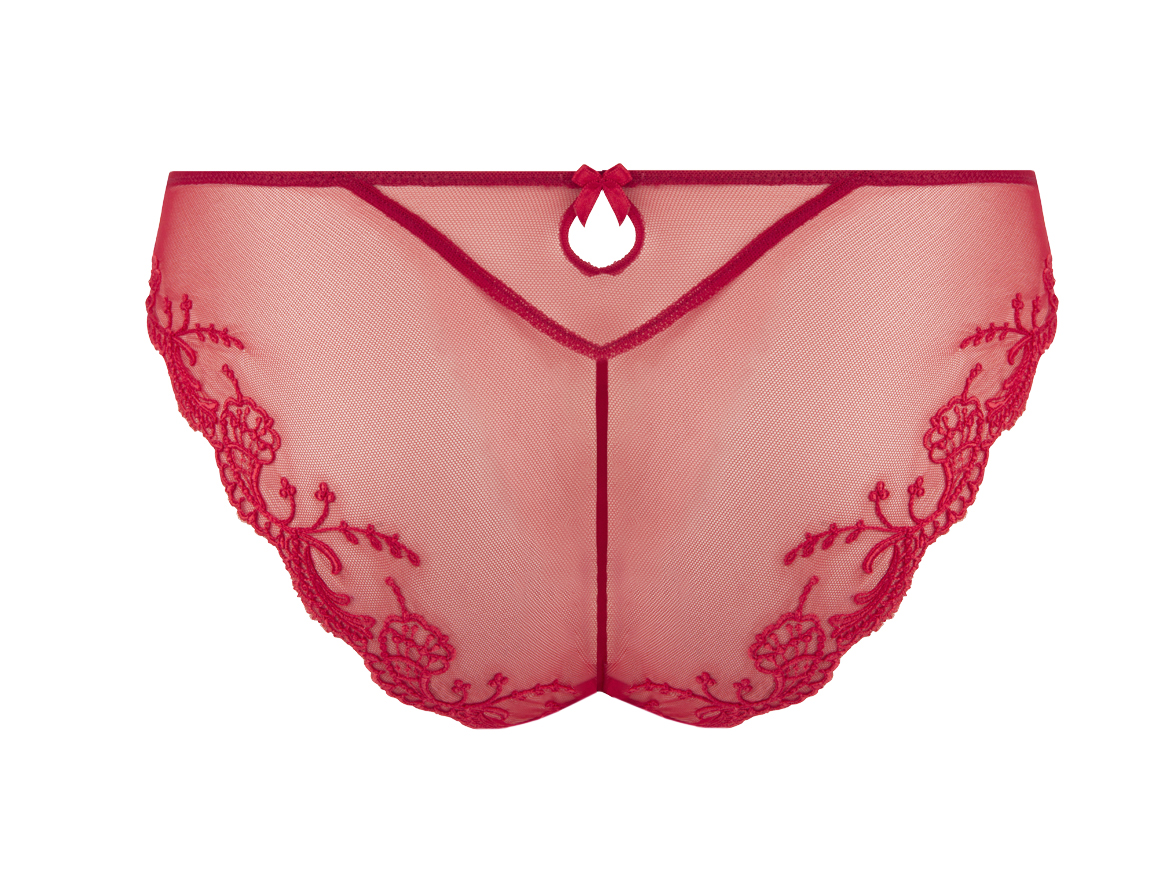 Lise Charmel Splendeur Soie Slip Séduction