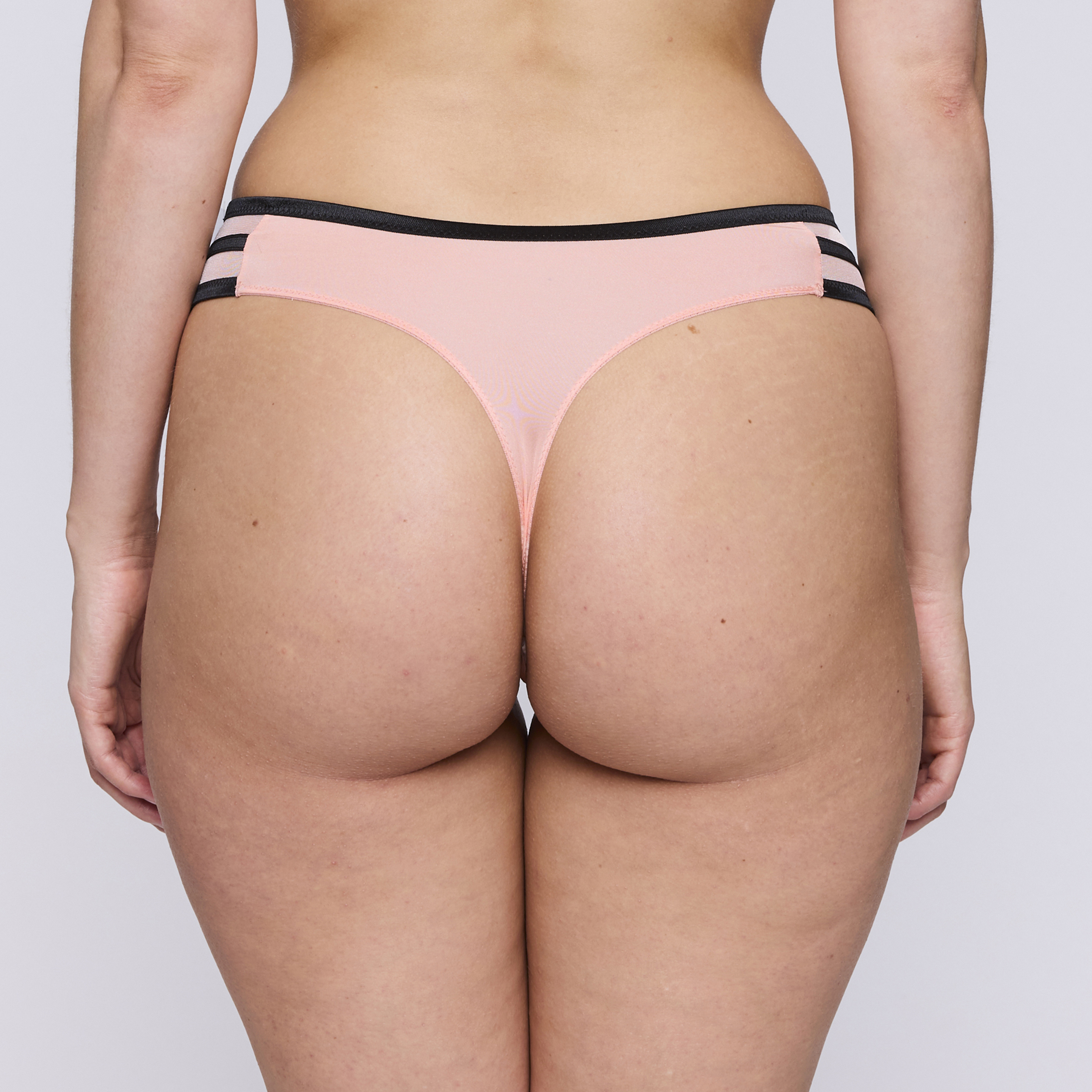 PrimaDonna Eraclea string