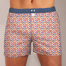 Sixtine's Boxer Ijsjes