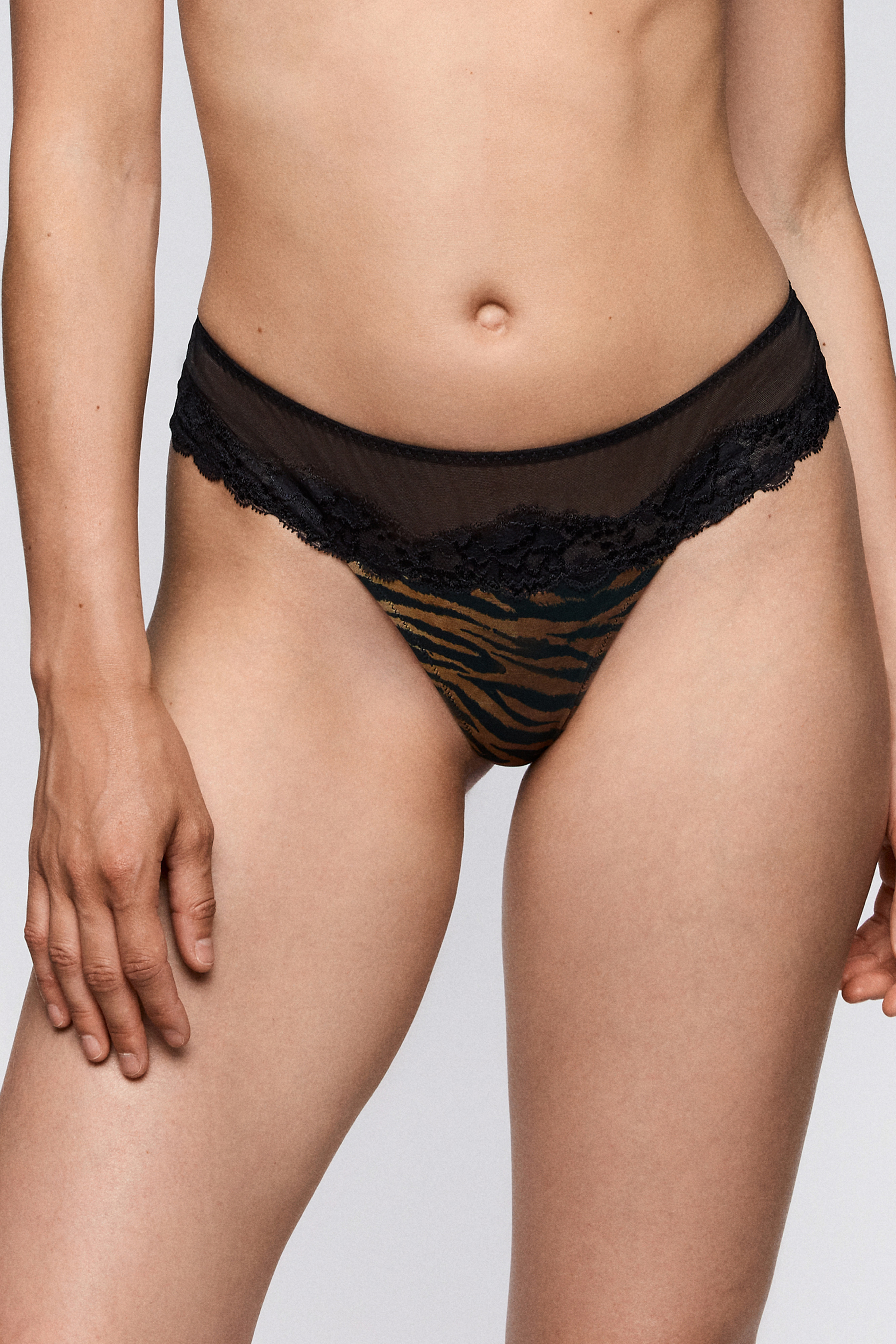 string Sarda BREMER
