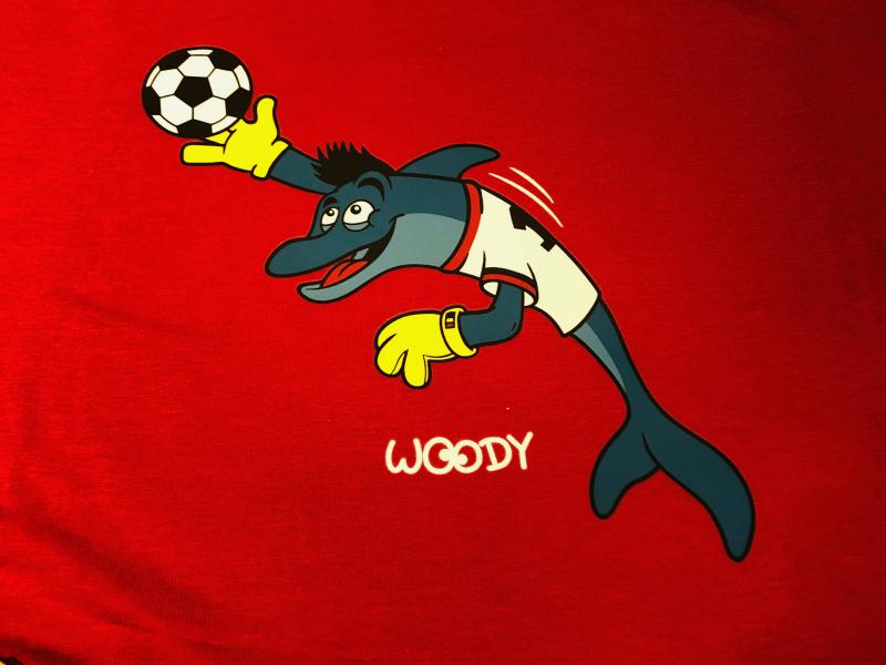 Woody EK voetbal Herenpyjama Thibaut Courtois